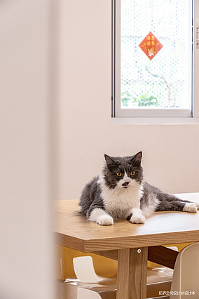 80㎡日式原木风二居室，厨房爆改为衣帽间装修图大全