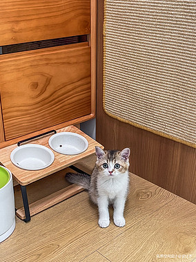 80㎡日式原木风二居室，厨房爆改为衣帽间装修图大全